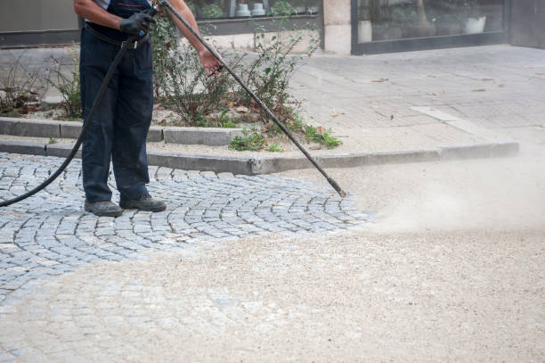 Animal Enclosure Cleaning in Kailua, HI